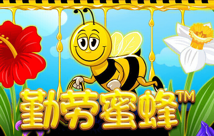 星空官方网站下载app